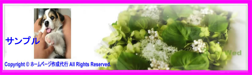 ホームページ作成代行1