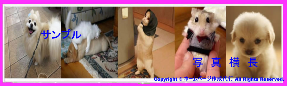 ホームページ作成代行3